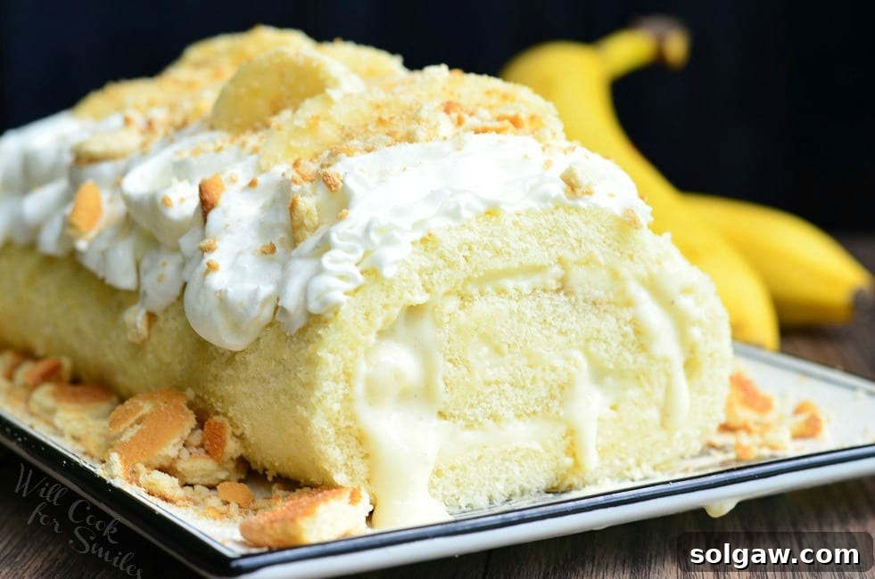 A horizontal top-down photo of a slice of Banana Pudding Cake Roll on a plate with whipped cream, crushed vanilla wafers, and a banana slice on top. An unpeeled banana is positioned to the right.