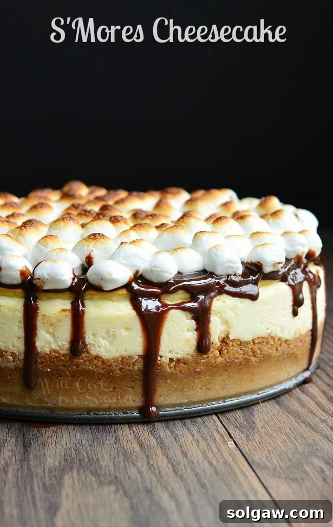 Side view of S'Mores Cheesecake, which sits on the bottom pan. Chocolate drips down the sides of this cheesecake. The top is covered with toasted marshmallows.